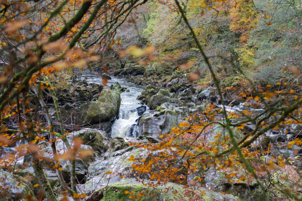 Autumn in Perthshire, Scotland. The background shows a waterfall