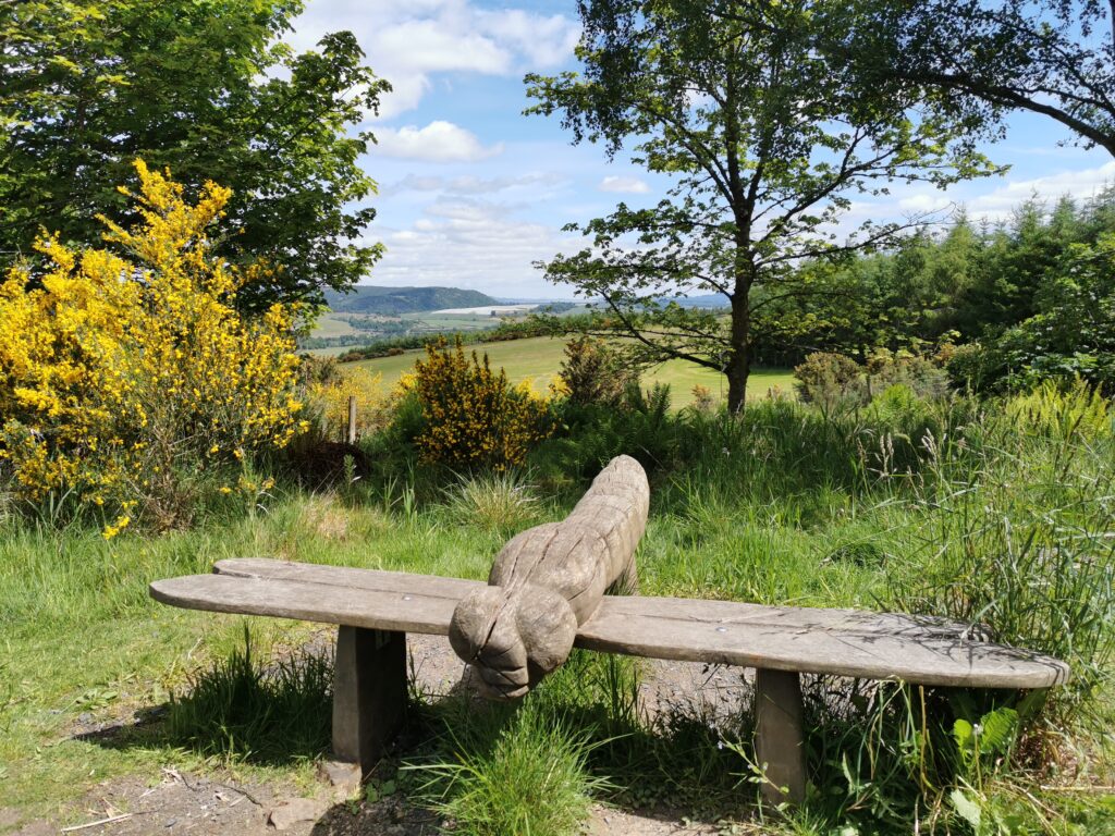 Moncreiffe Hill. Perth & Kinross 